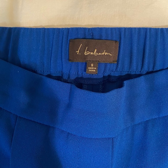 T. Babaton - blue trousers. Aritzia. Womens. Size 6. - Picture 2 of 3